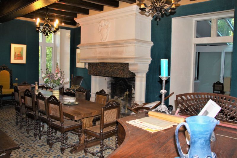 Château de Coubloust, Vicq-sur-Nahon - photo 8