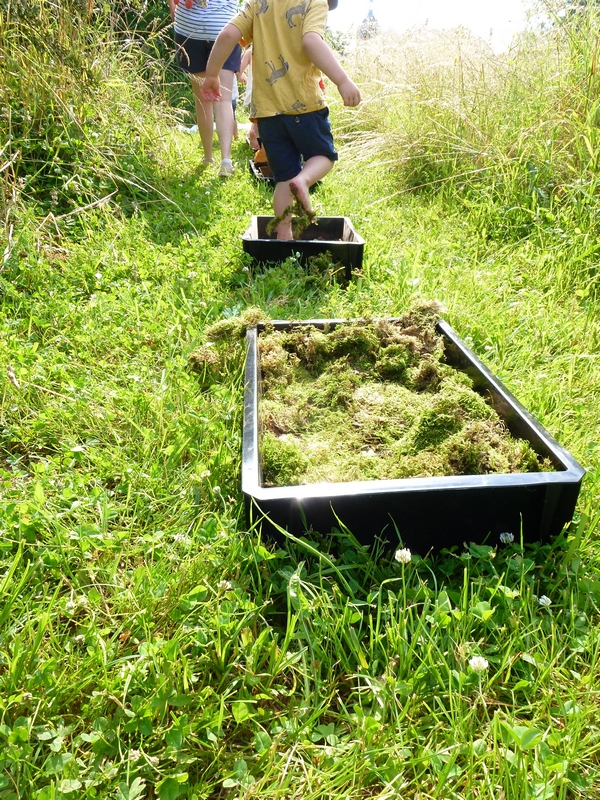 Atelier nature pour les moins de 3 ans : Les tout-petits en sortie