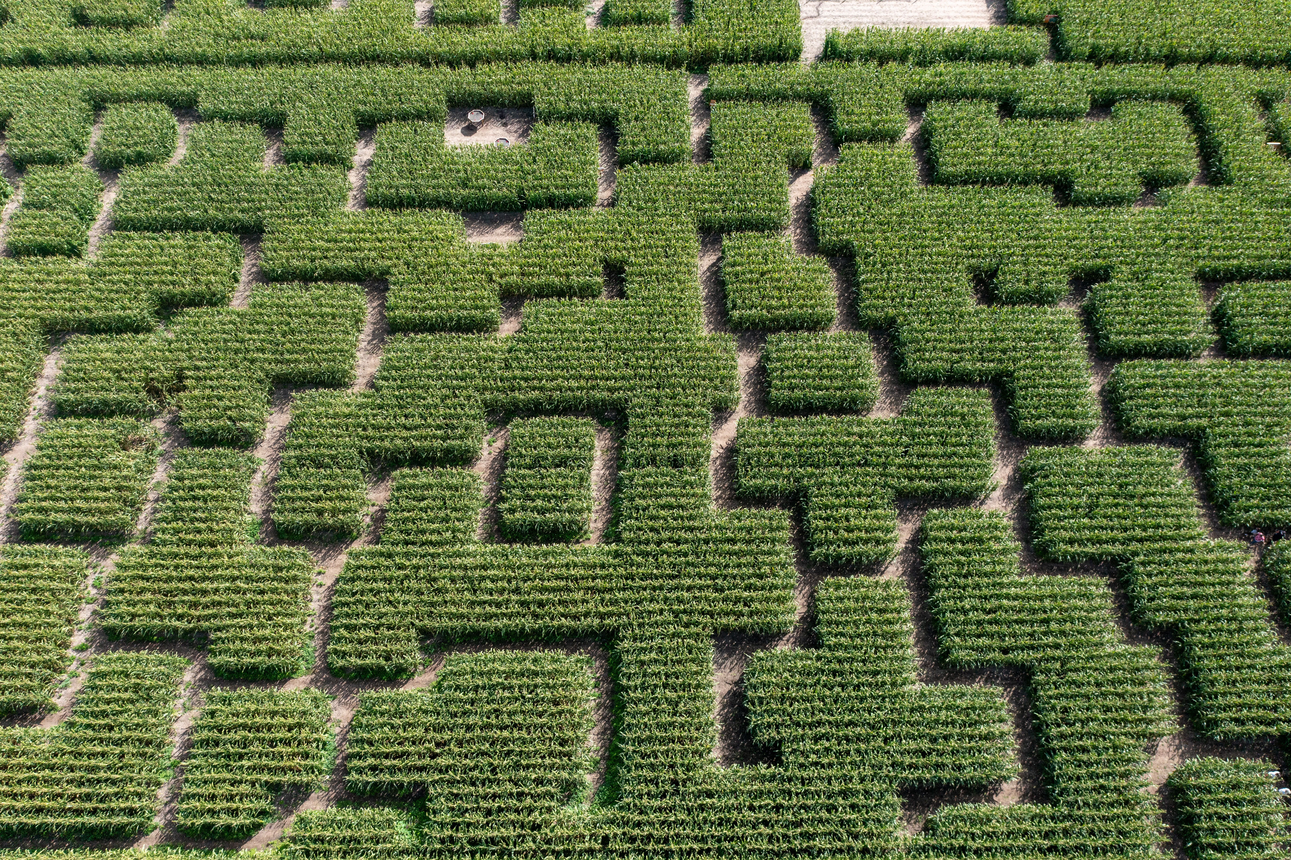 Pop Corn Labyrinthe, Vennecy - photo 2