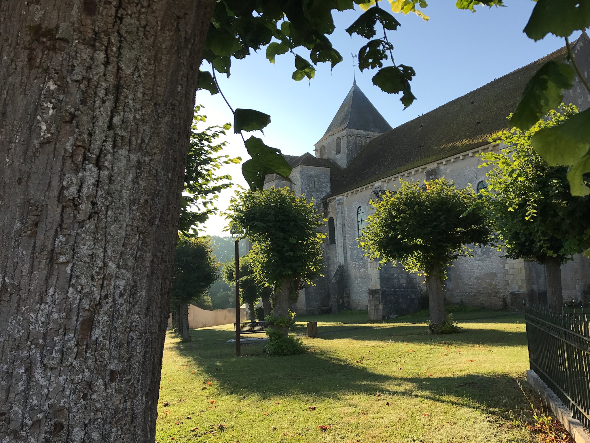 Abbatiale Saint-Martin, Plaimpied-Givaudins - photo 3