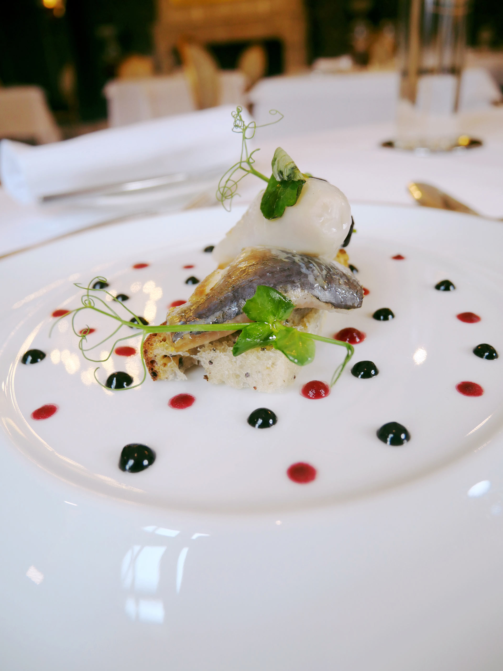 Château de Beauvois, Saint-Étienne-de-Chigny - photo 11