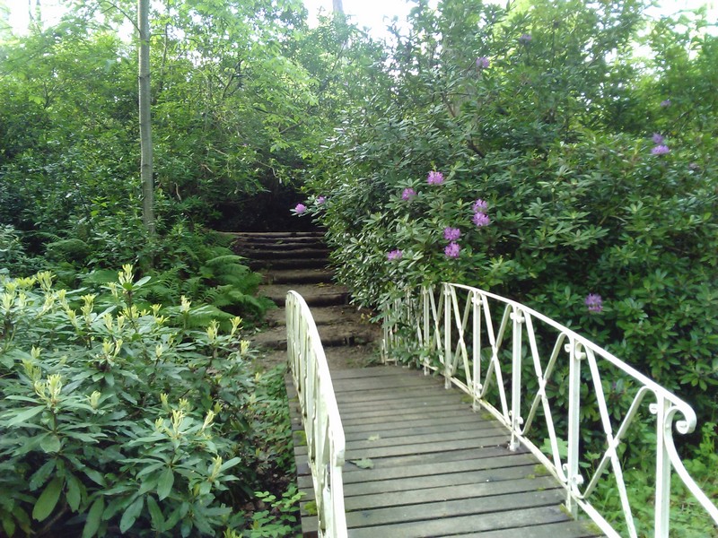 Promenade des Deux Ponts A29, Châteauneuf-sur-Loire - photo 17