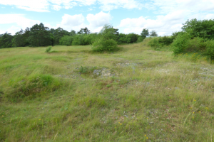 La Butte Montmarthe, Tillay-le-Péneux