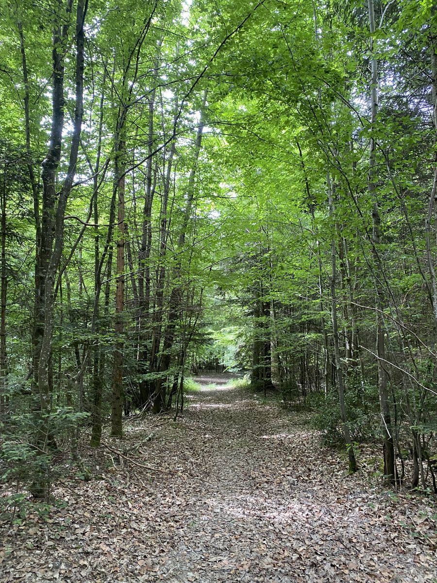 Circuit de la fontaine Saint-Loup, Cernoy-en-Berry - photo 2