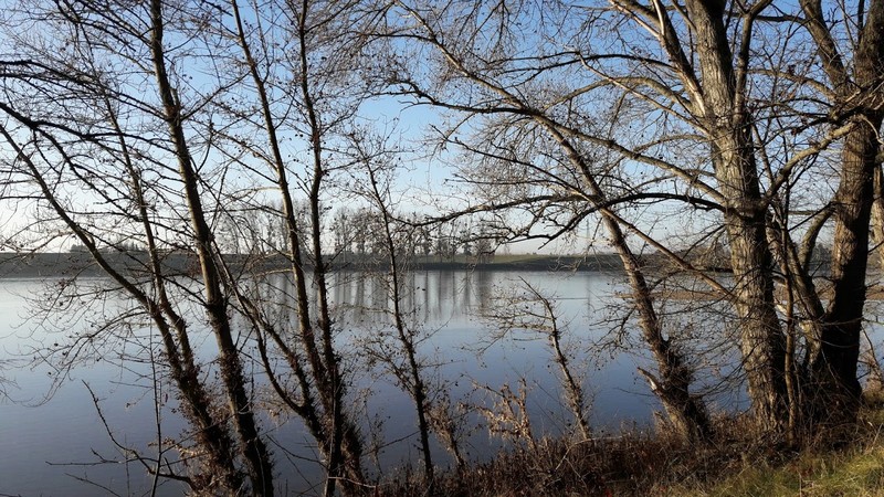 Promenade des Deux Ponts A29, Châteauneuf-sur-Loire - photo 14