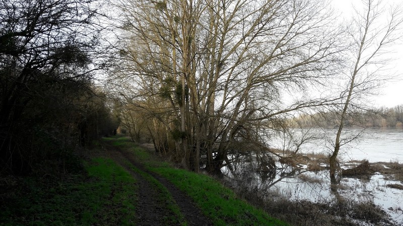 Promenade des Deux Ponts A29, Châteauneuf-sur-Loire - photo 2