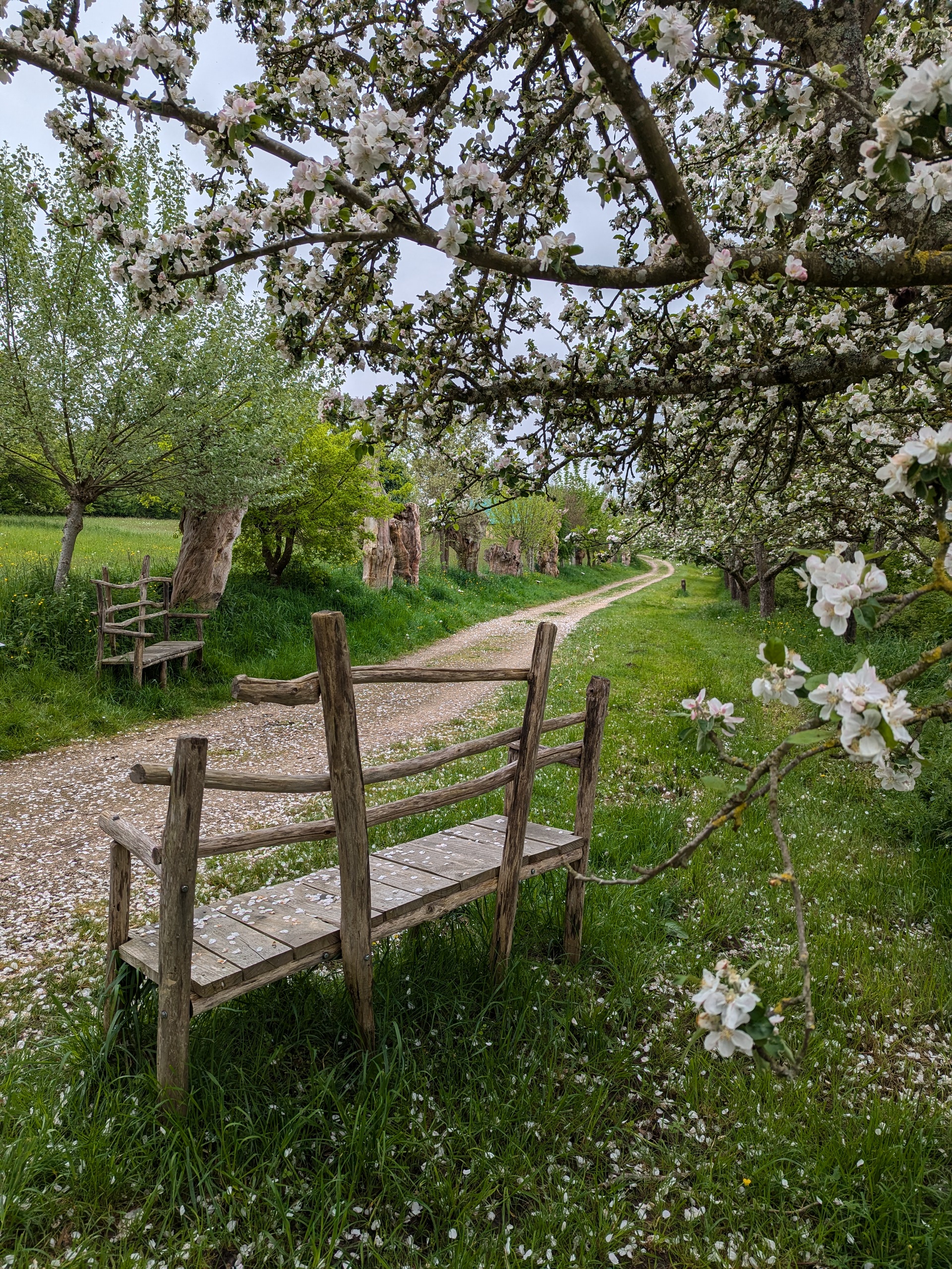 Les trois chemins/Chemin des Trognes, Boursay - photo 2