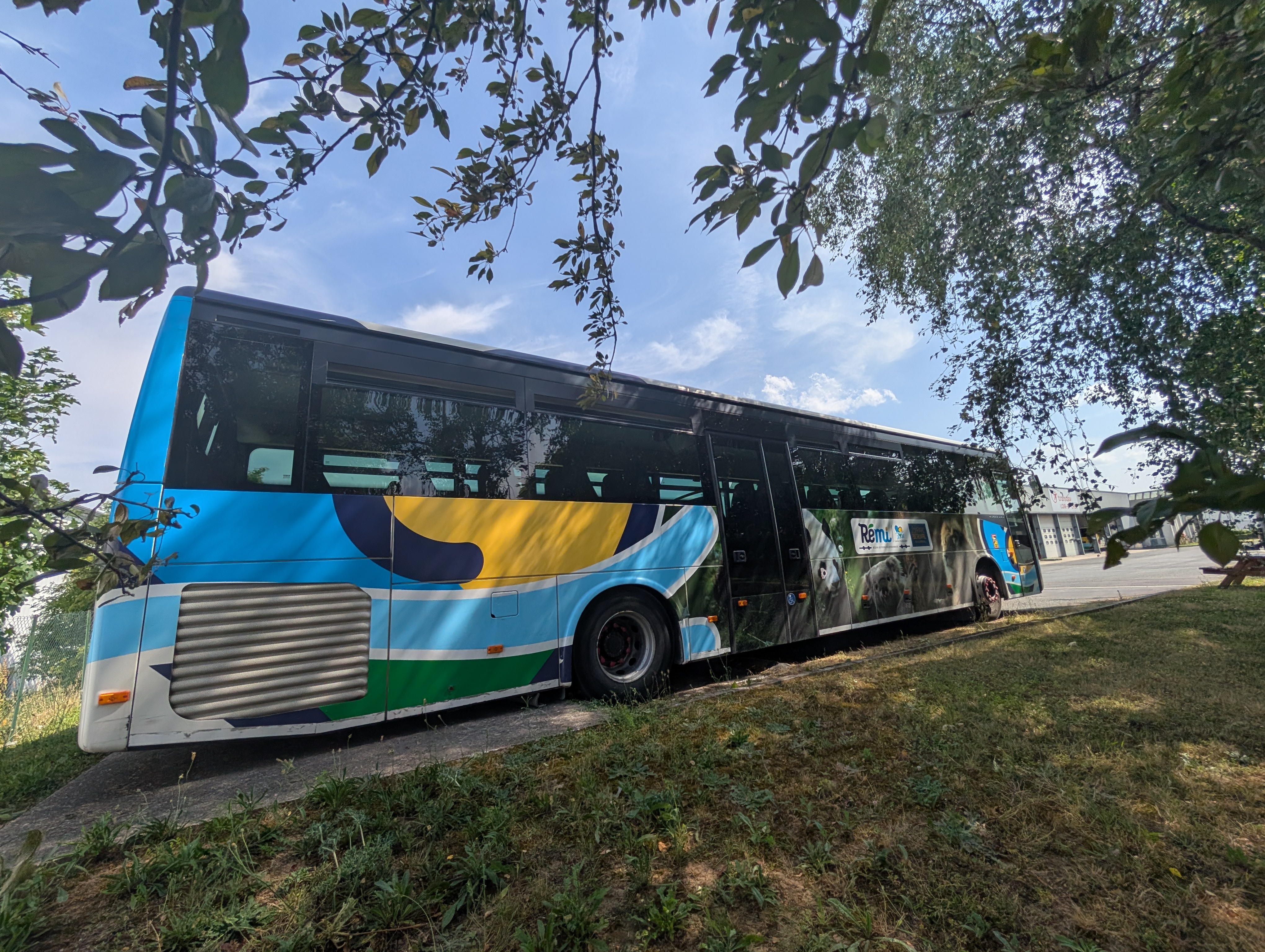 Navette Blois-Zoo de Beauval, Blois - photo 2