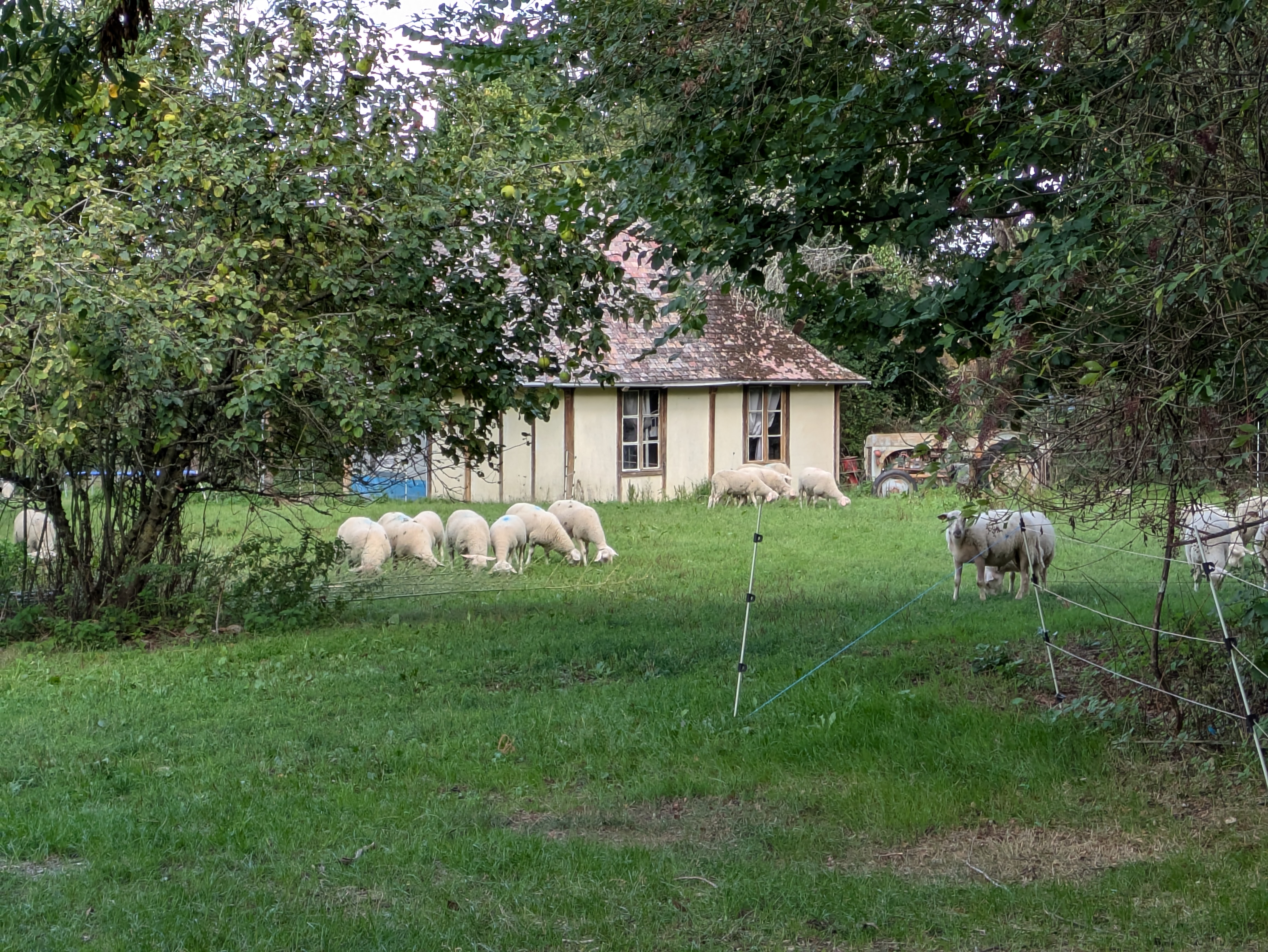 Ferme d'Hélice Gîtes et camping Accueil Paysan, Sarzay - photo 7