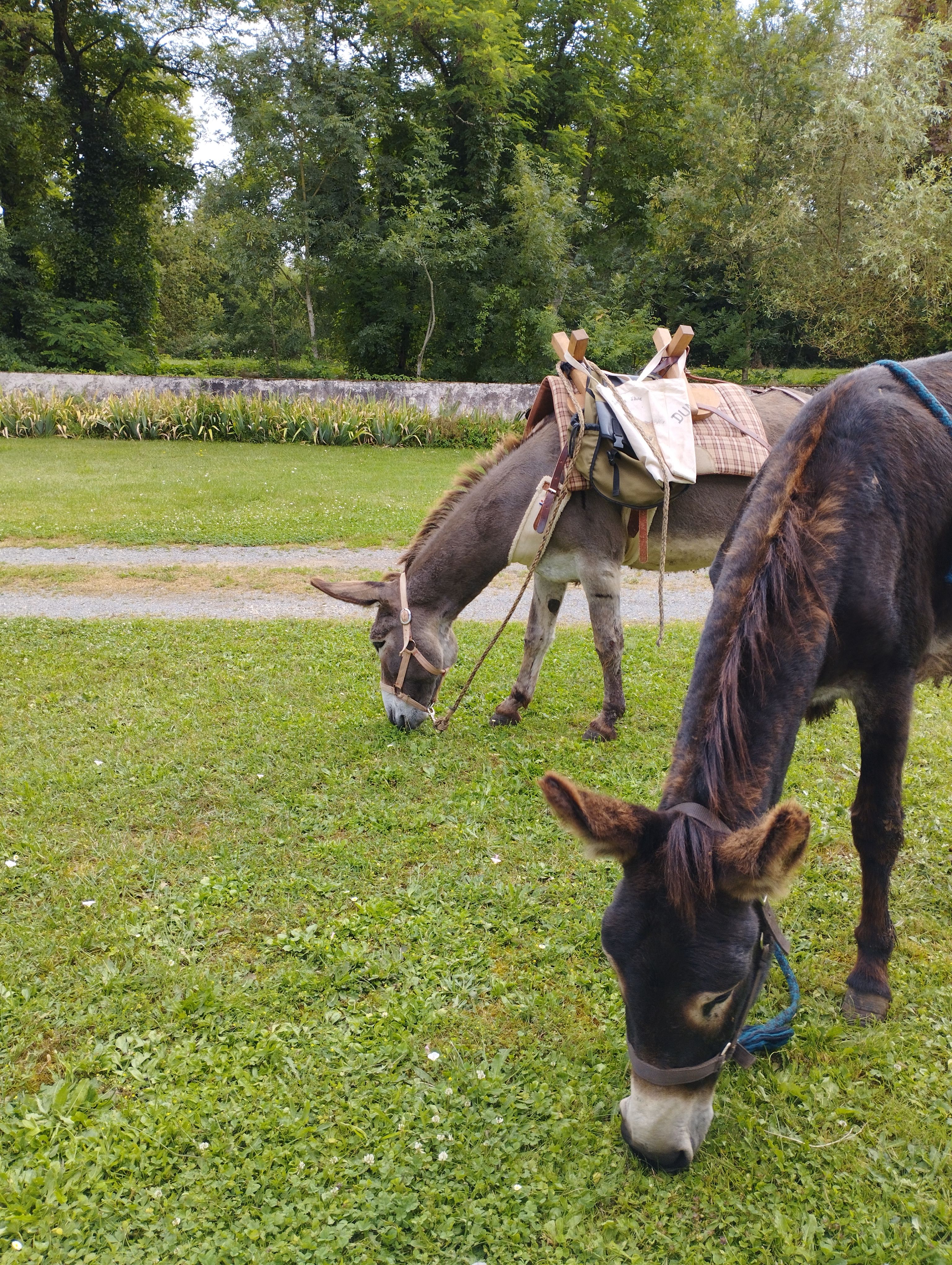 Dun Pas d'Âne, Dun-sur-Auron