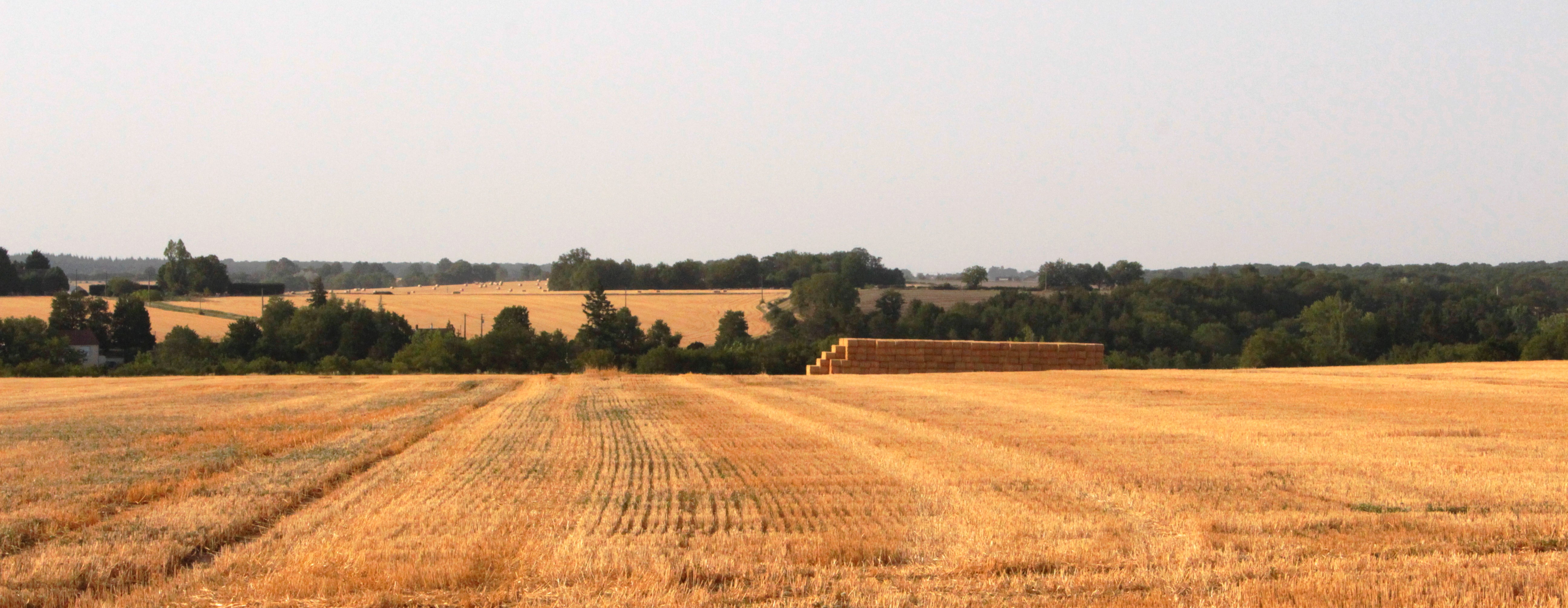 Le long du Bouzanteuil, Chasseneuil - photo 3