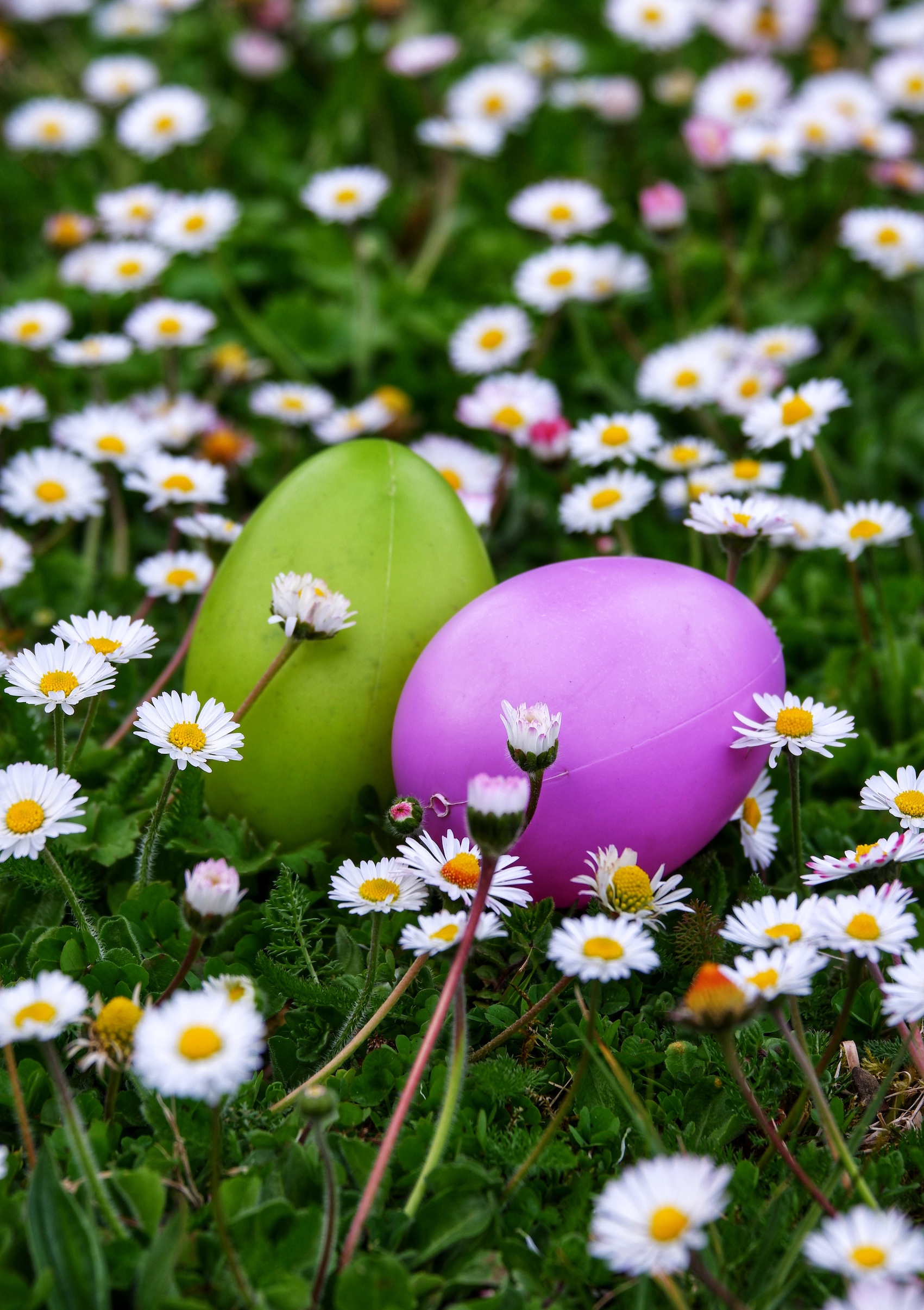 Grande chasse aux œufs de Pâques au Domaine de Poulaines, Poulaines