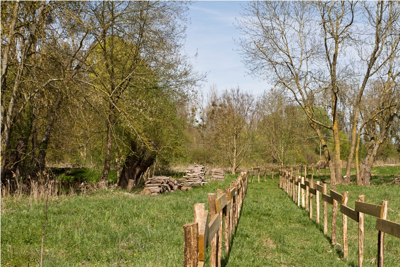 Espace naturel sensible de la prairie du Puiseaux et du Vernisson, Montargis - photo 2