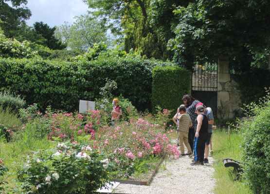 Journée découverte : "La rose dans tous ses états"