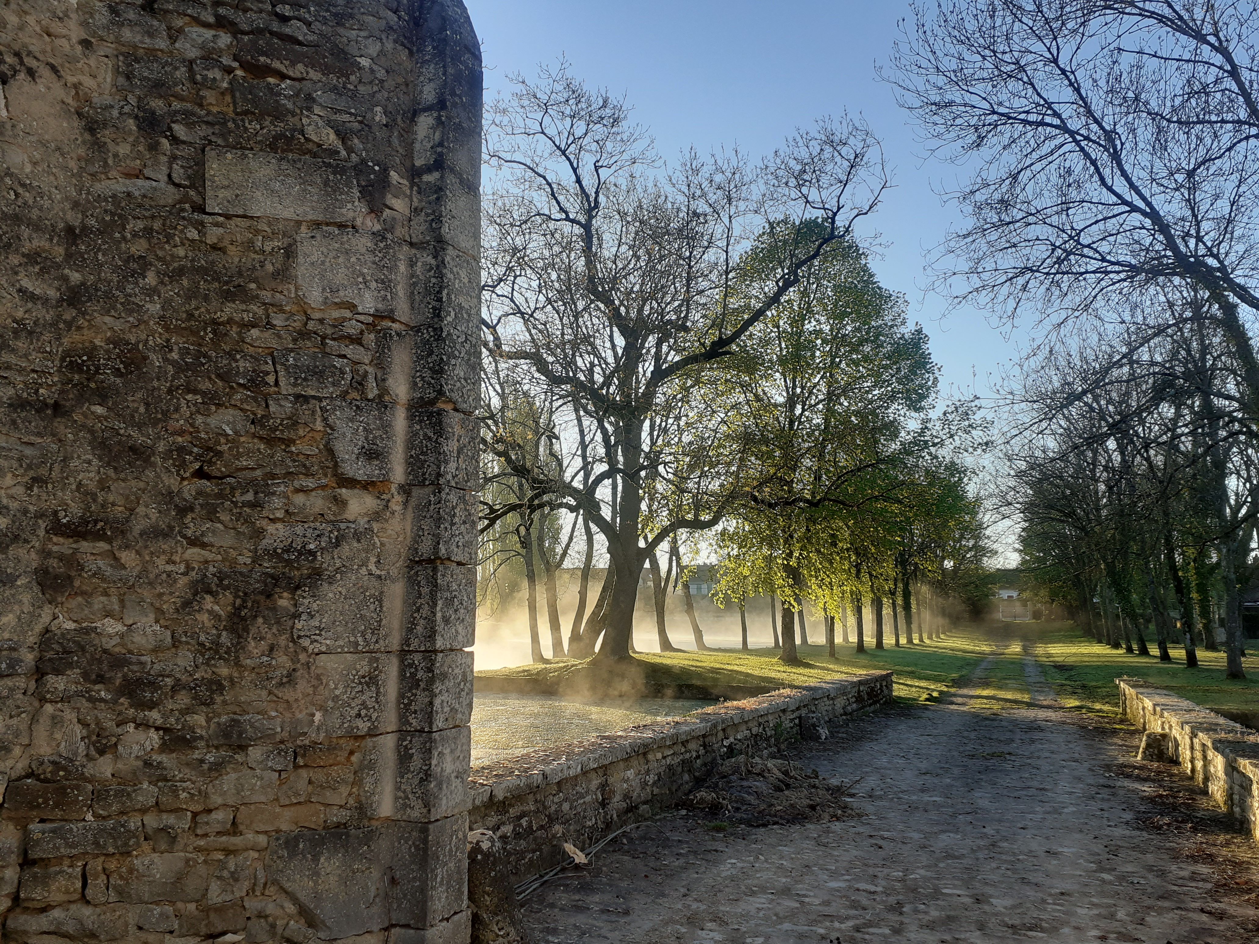 Rendez-vous aux jardins, Sagonne - photo 4