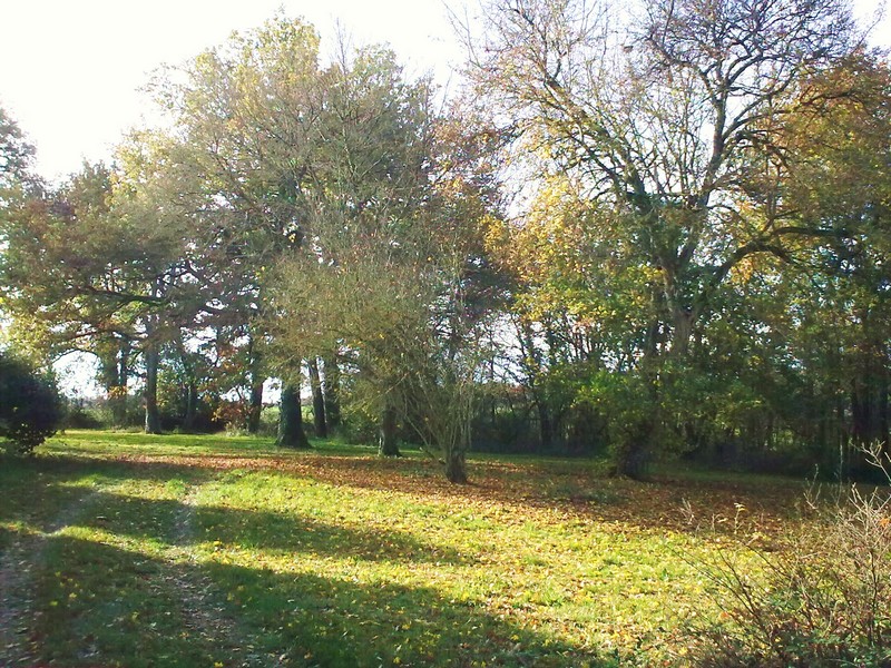 La Soupiquerie, Bossay-sur-Claise - photo 4