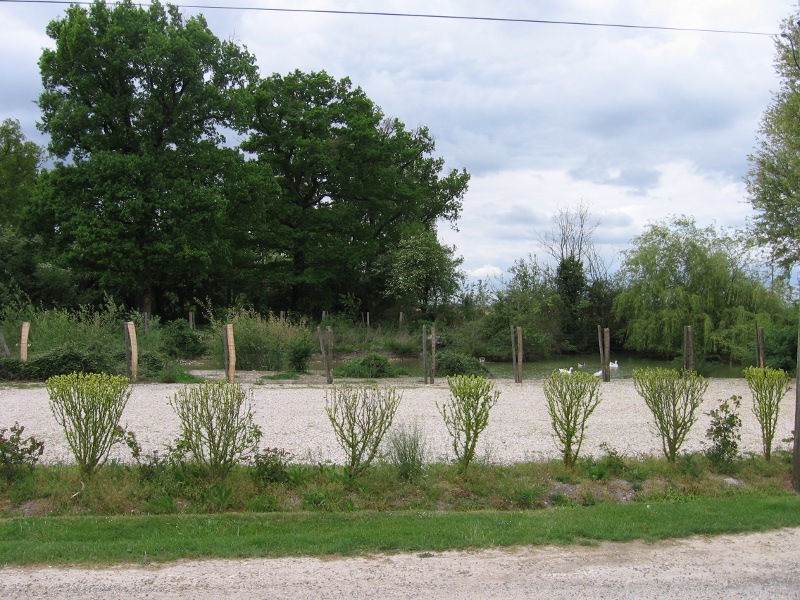 Gîte d'étape et de séjour - "Le Cabras", Dolus-le-Sec - photo 4