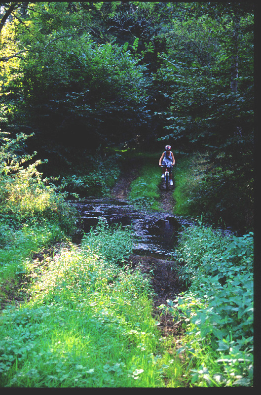 Circuit VTT - Boucle des 7 gués, Bélâbre - photo 2