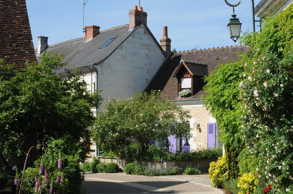 Guided floral tour of Chédigny, both village and garden