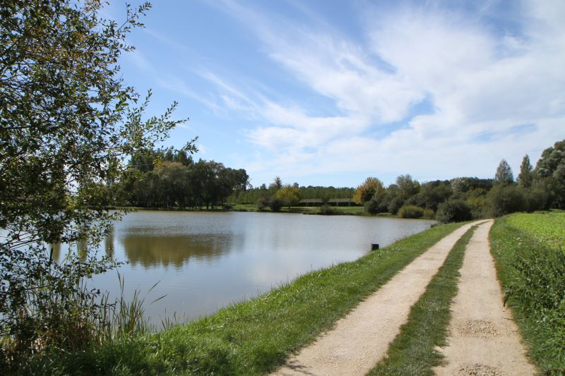 Etang des Buissons — photo 2