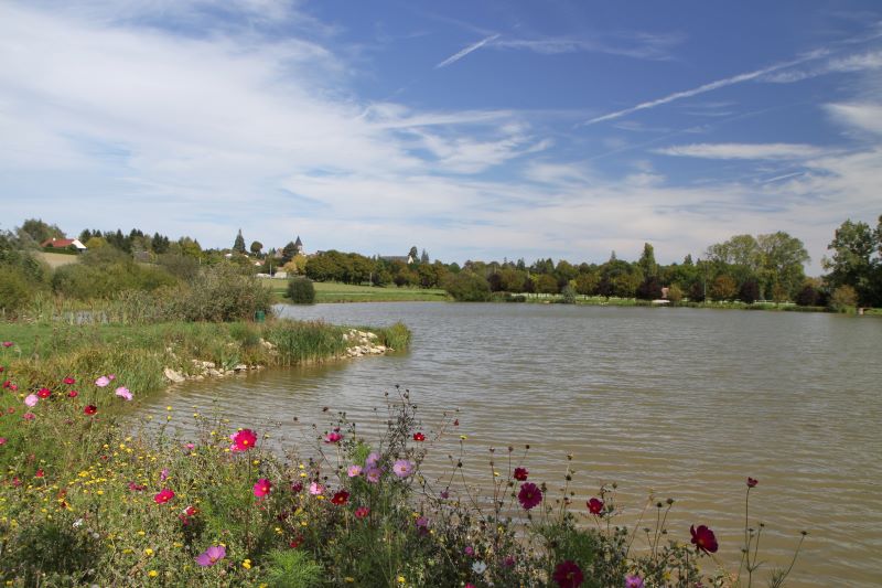 Etang des Buissons — photo 3