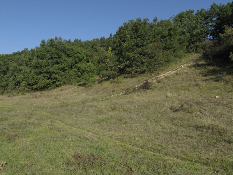 Les Pelouses du Bois du Roi, Les Bordes - photo 3