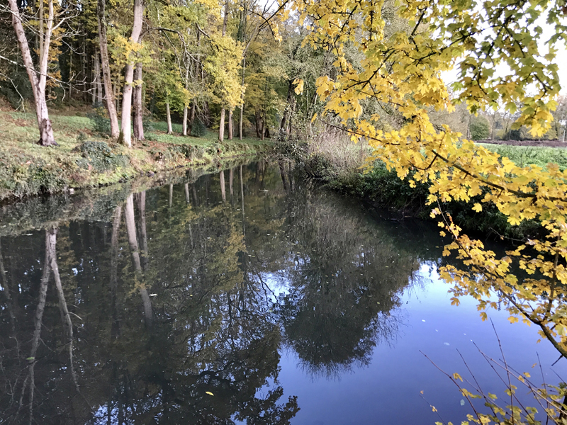 Moulin de Boizard - Pêche à la mouche en rivière et en étang