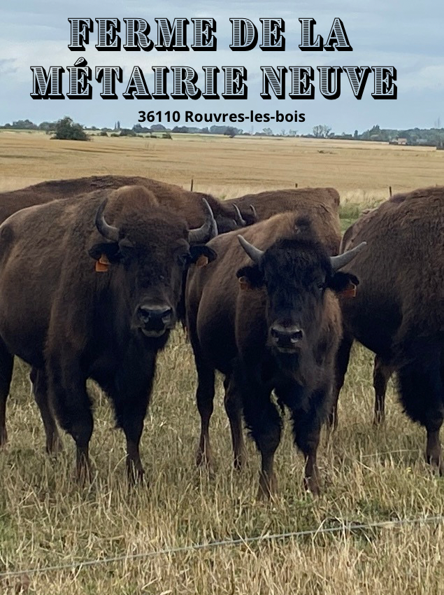 Ferme de La Métairie Neuve