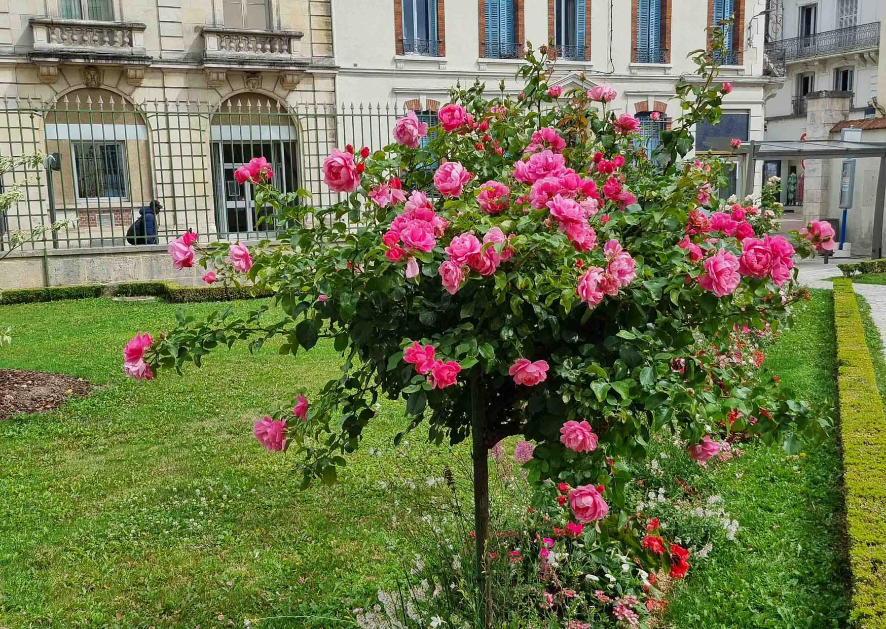 Route de la Rose à Montargis — visuel événement