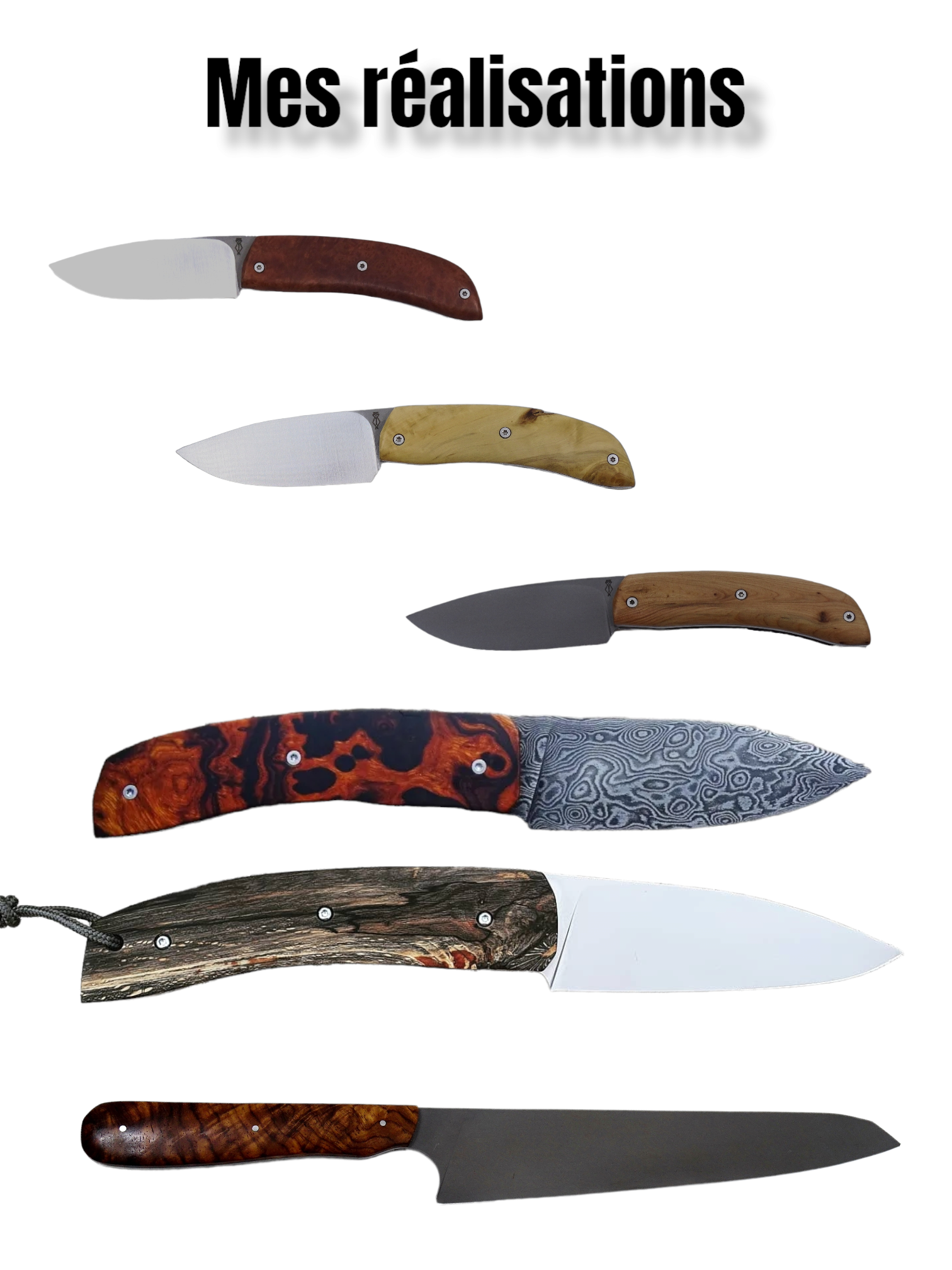 Coutelier Owl blades, Bonny-sur-Loire - photo 7