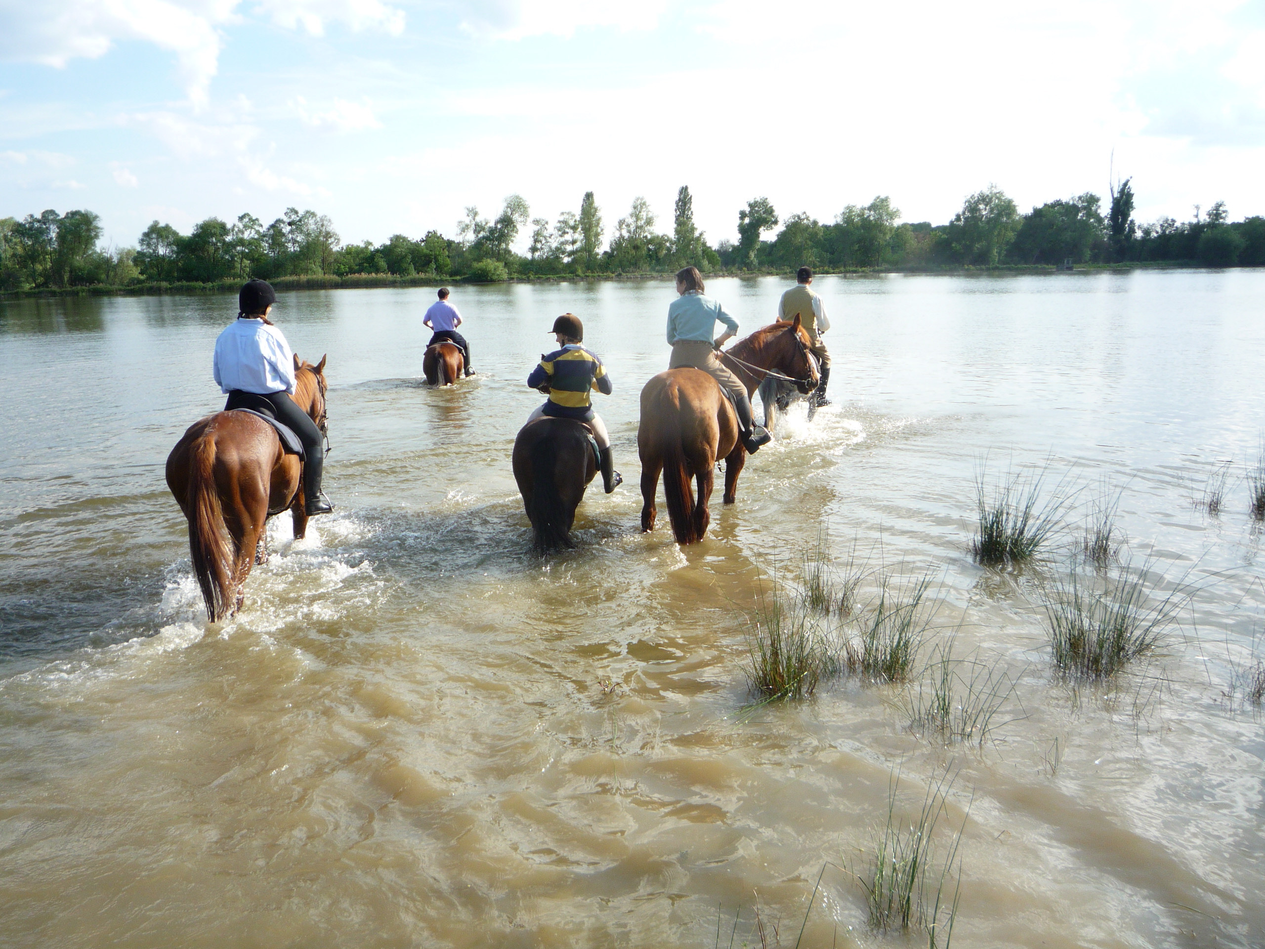 La Brenne à cheval : circuits en marguerite au départ de la Grande Métairie de Notz Marafin, Saulnay