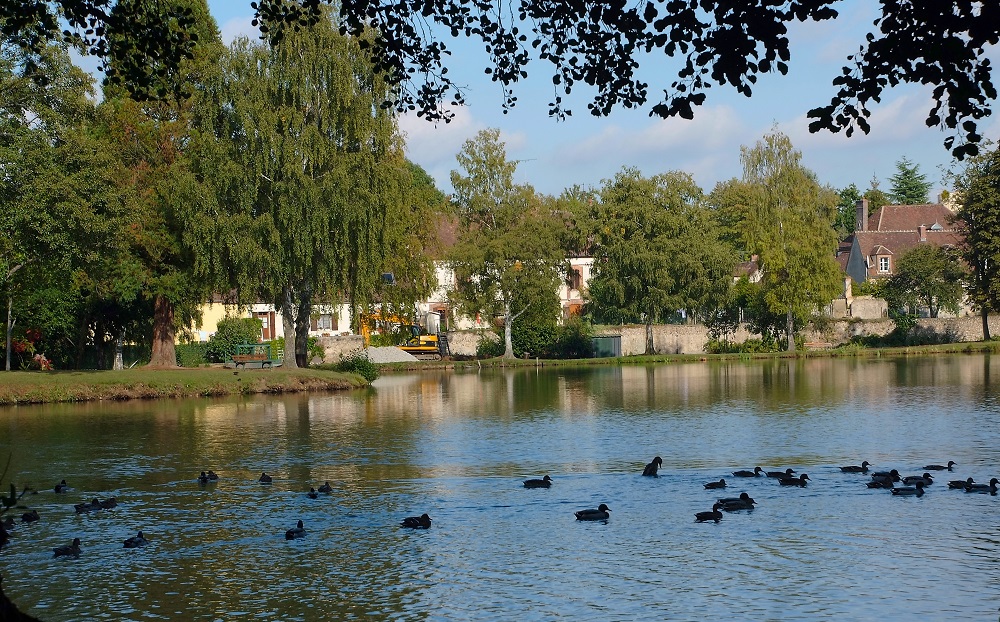 Lac Arthur Rémy - Site de pêche labellisé - parcours famille