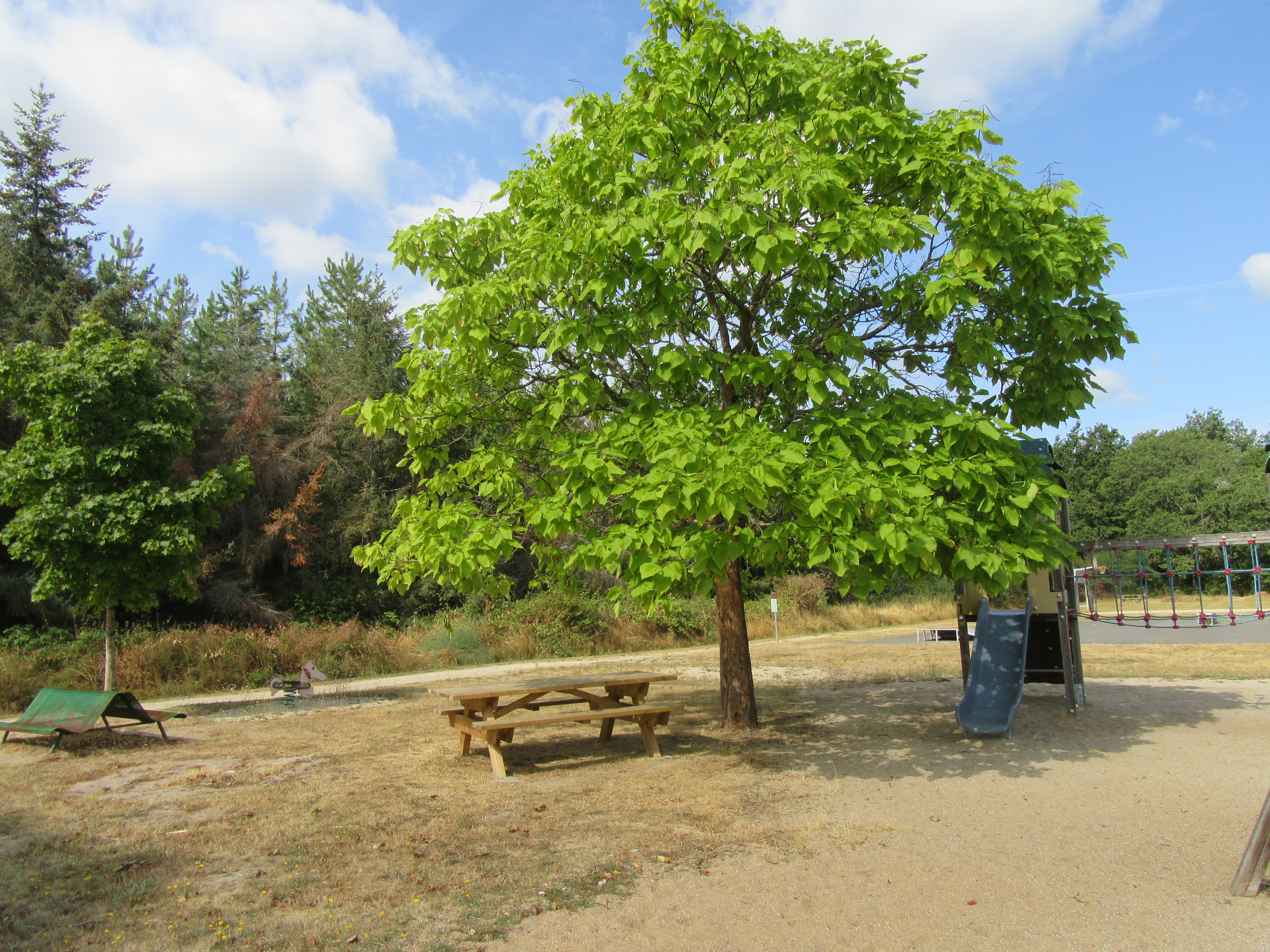 Aires de pique-nique de Vieilles Maisons sur Joudry - photo 2