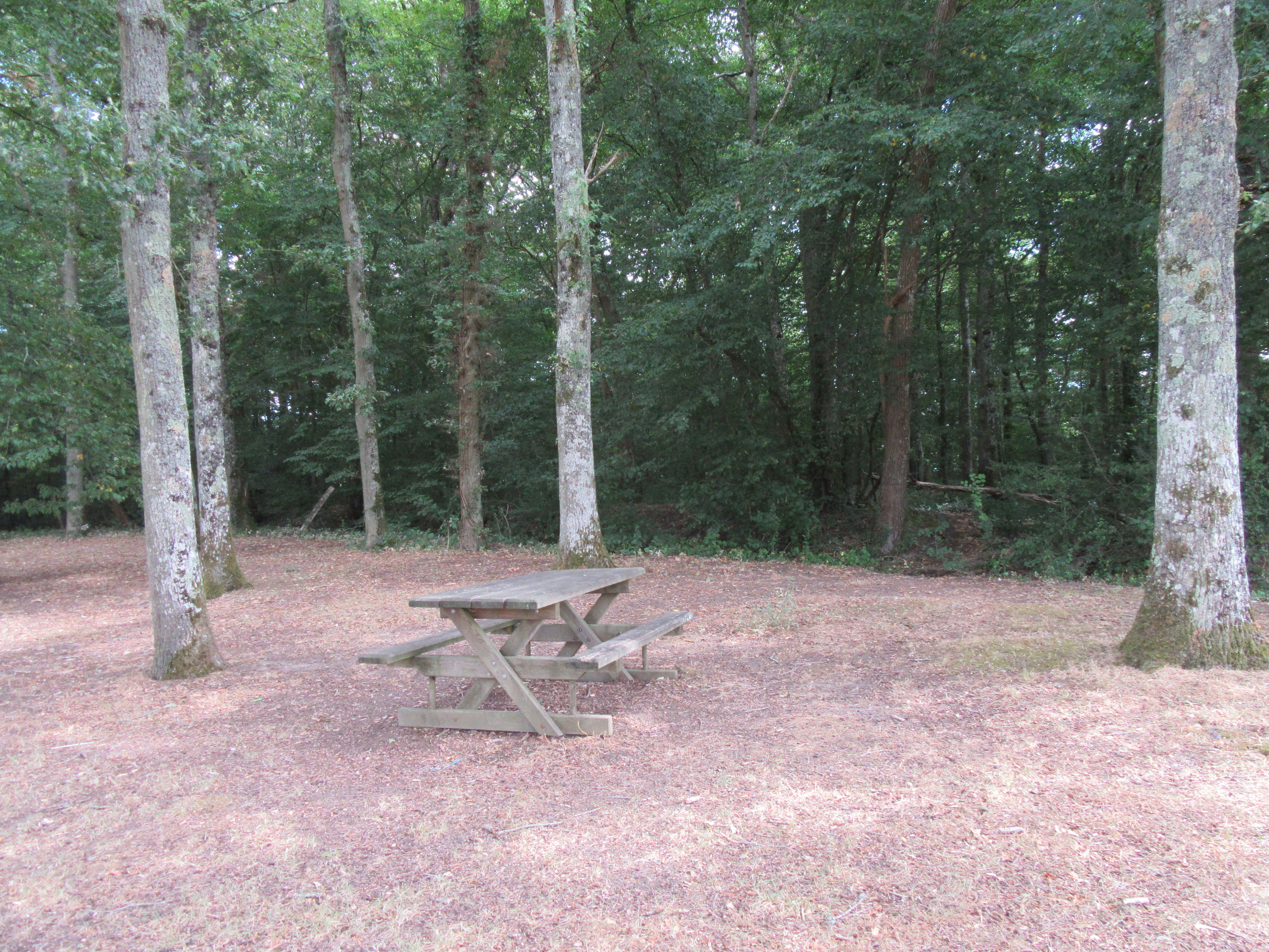 Aire de pique-nique de Montereau - photo 2