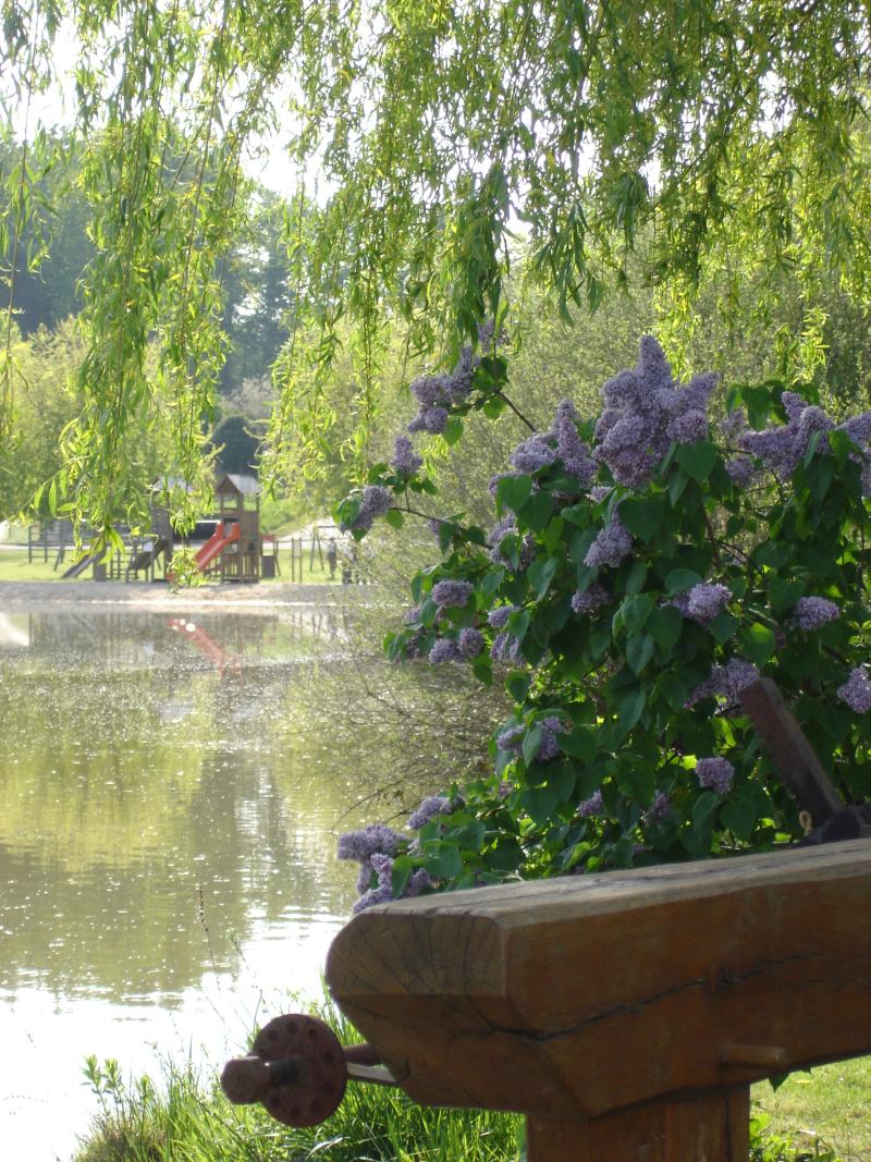Aire de loisirs La Planche Baron, Villentrois-Faverolles-en-Berry - photo 3