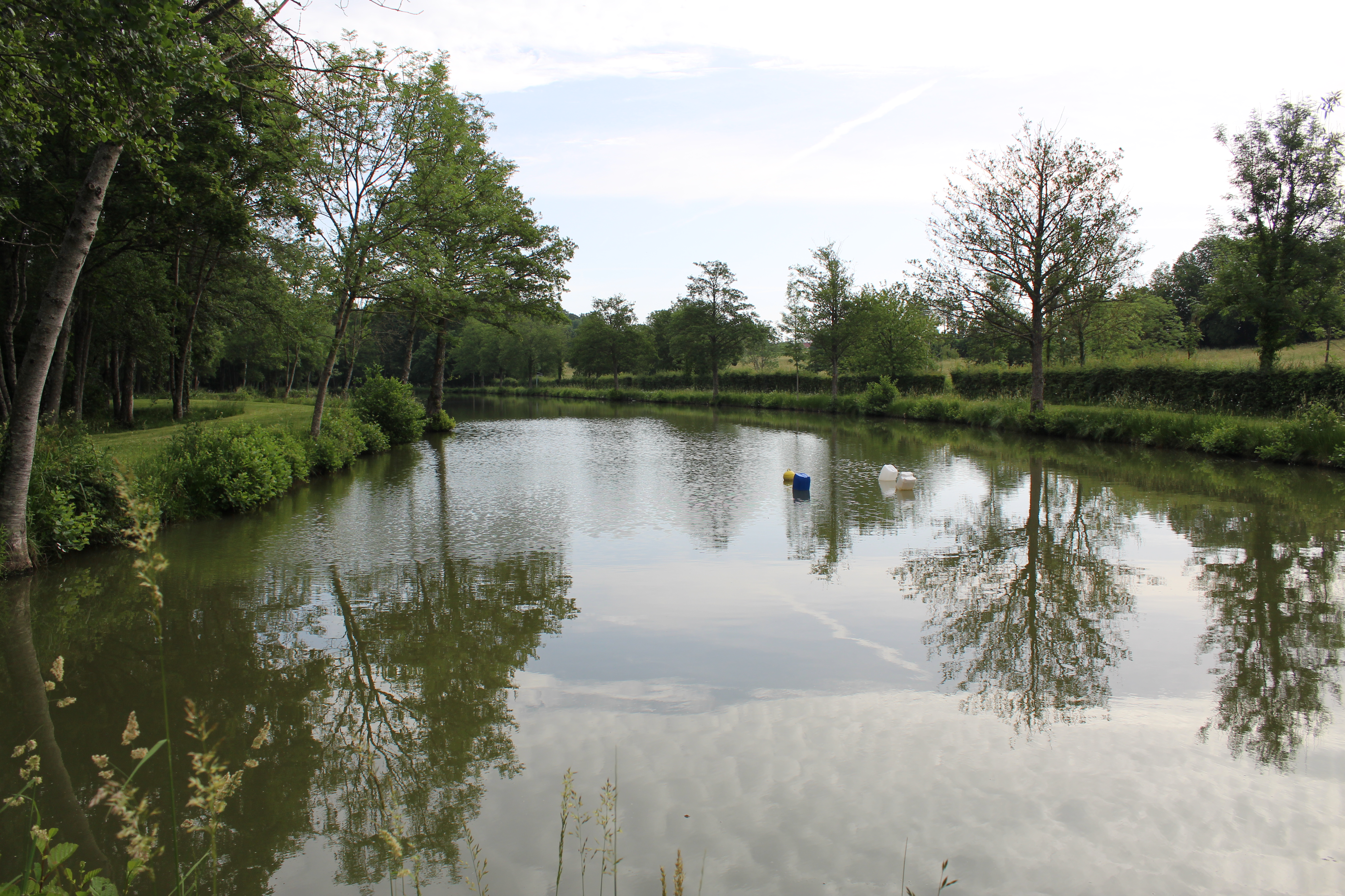 Plans d'eau Gilbert Lecomte - Site de pêche labellisé Parcours Famille