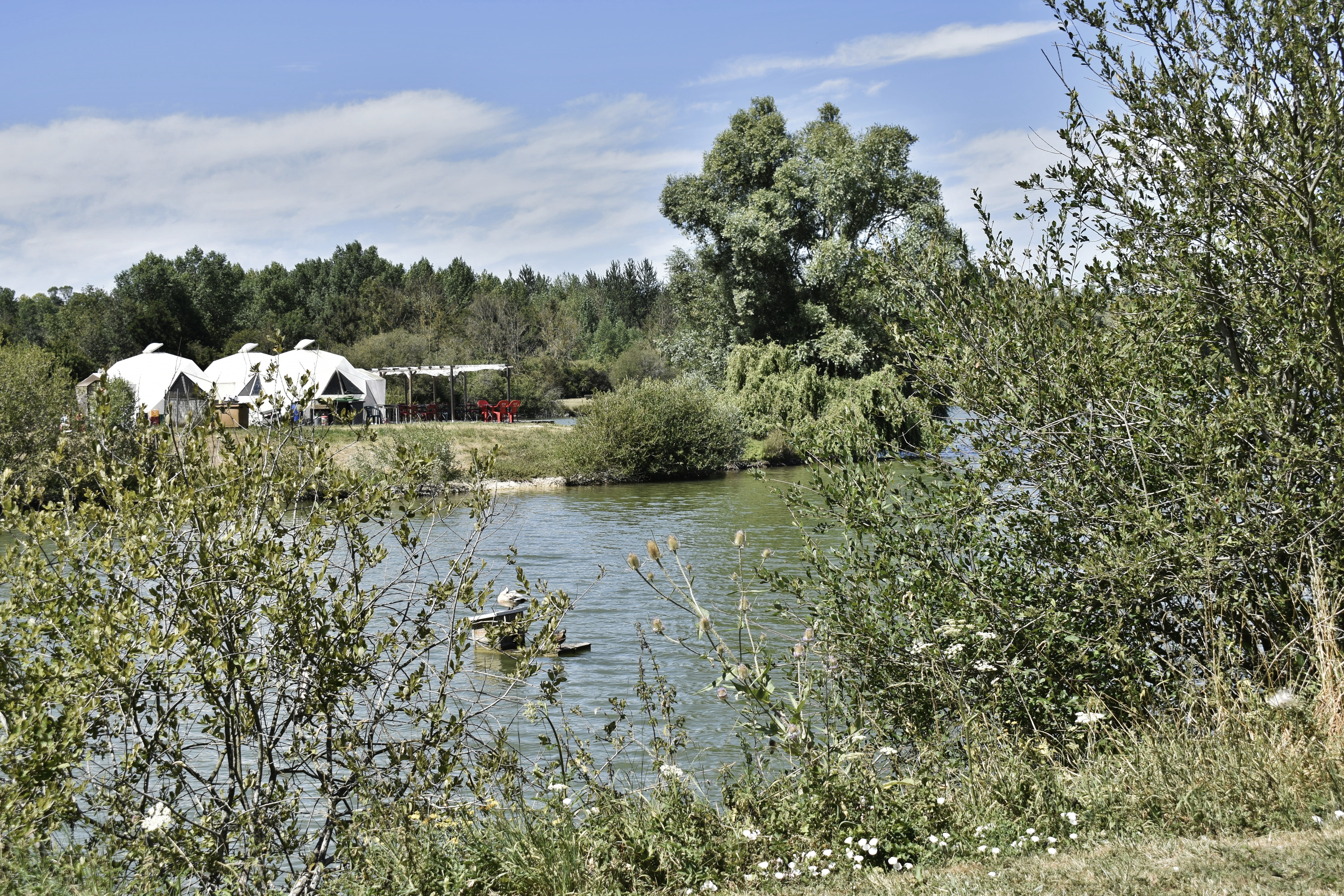 L'Étang des Vingtaines, Oulins - photo 4