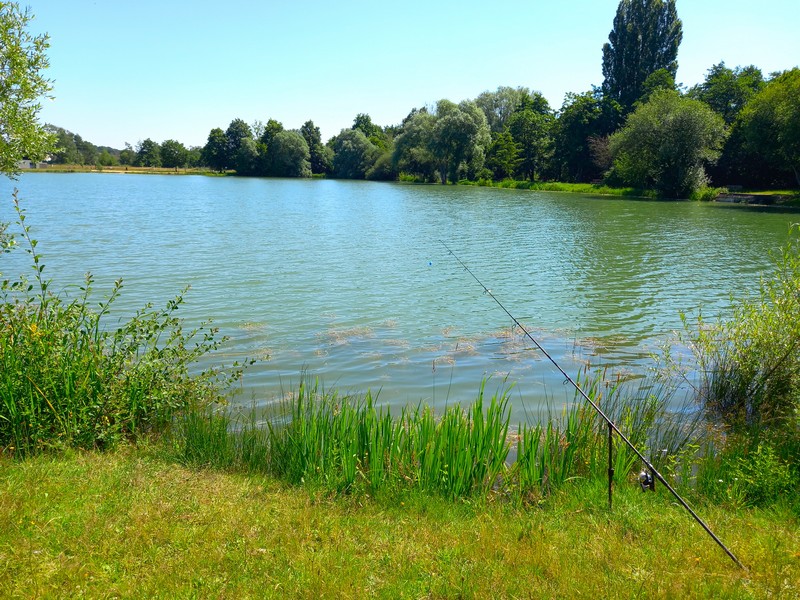 Plan d'eau de l'Arche, Monnaie