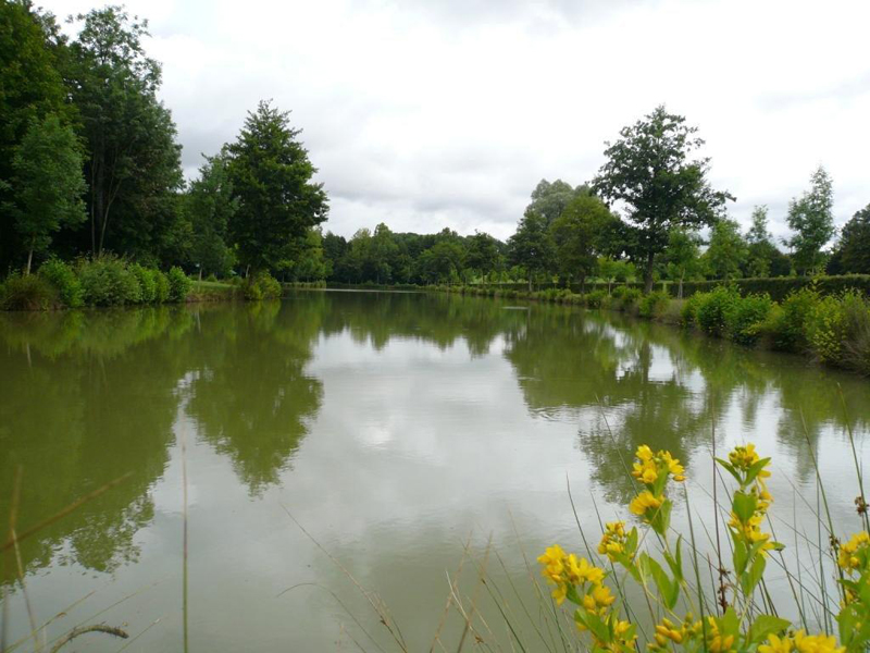 Plans d'eau Gilbert Lecomte - Site de pêche labellisé - parcours famille  France Centre-Val de Loire Eure-et-Loir La Bazoche-Gouet 28330