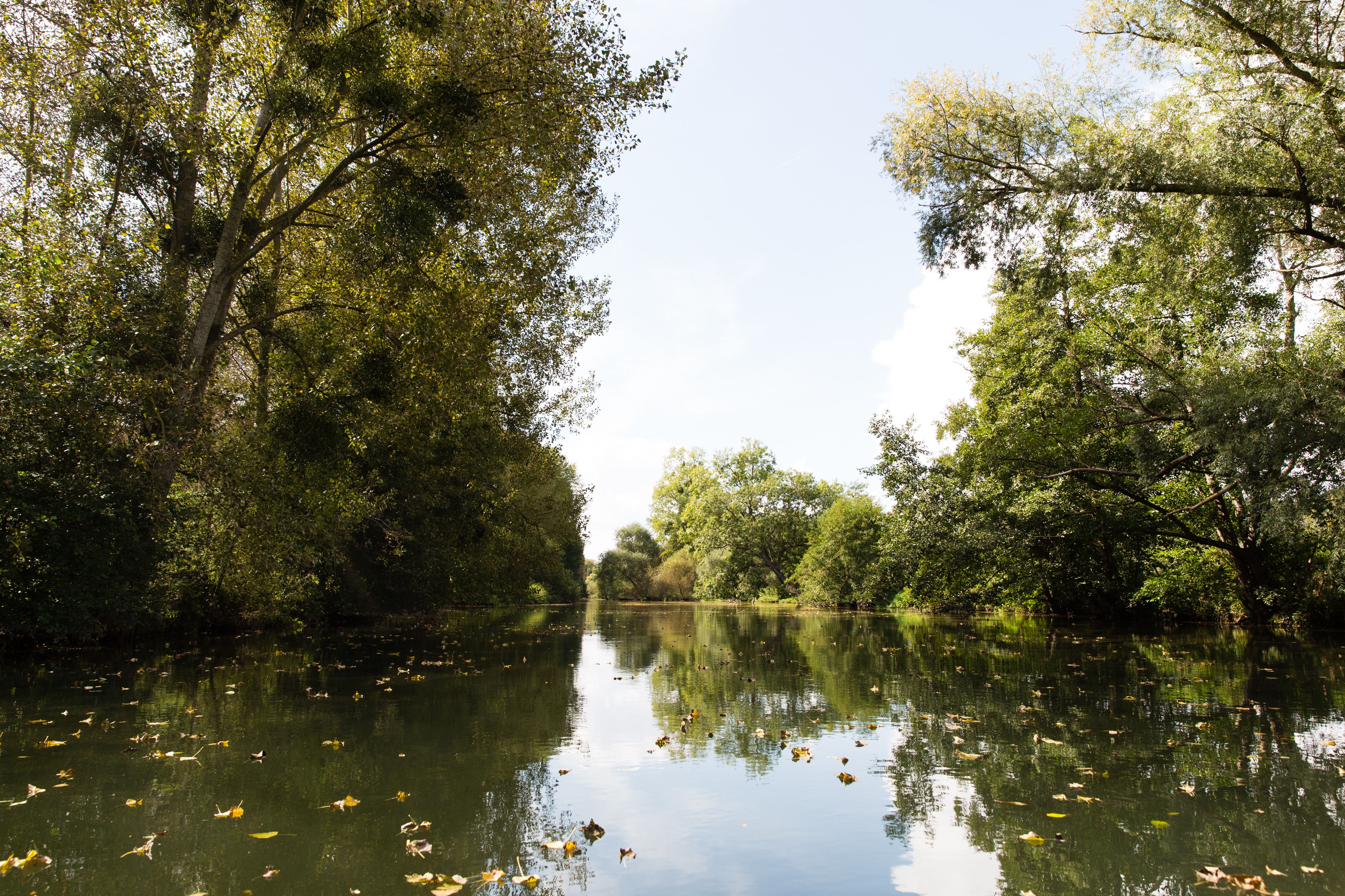 Canoë pour tous — photo 3