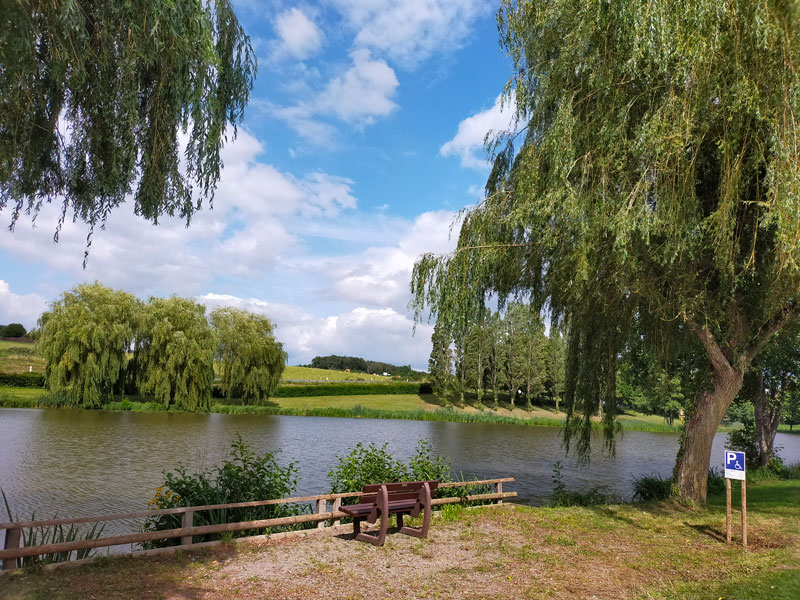 Aire de stationnement - Saint-Martin-Des-Bois, Saint-Martin-des-Bois - photo 2