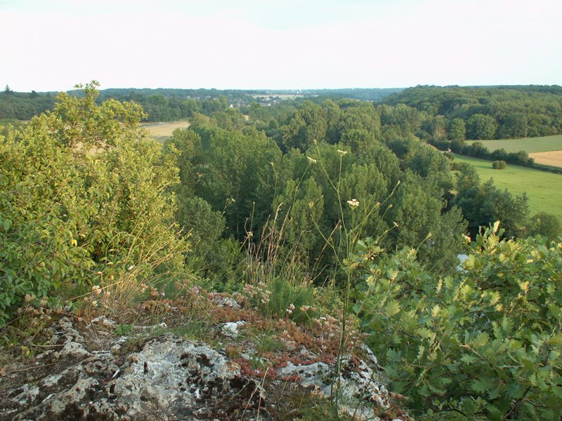 Inventaire pour la biodiversité  France Centre-Val de Loire Indre Pouligny-Saint-Pierre 36300