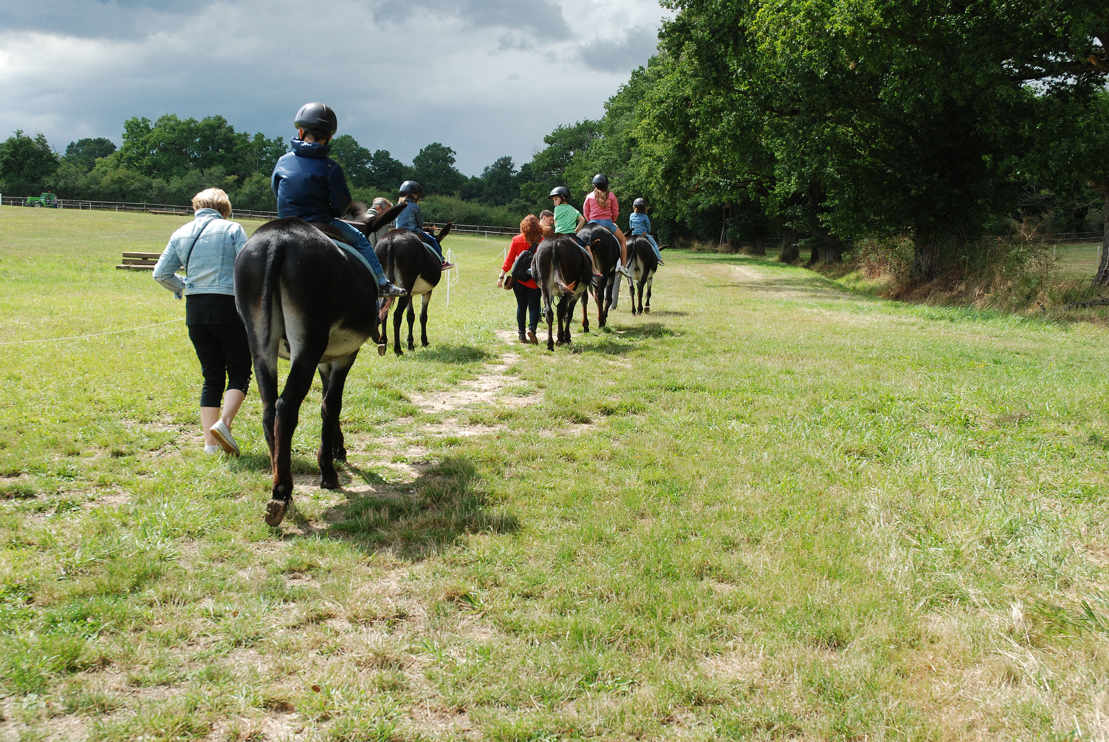 Pôle du Cheval et de l'Âne, La Celle-Condé - photo 3