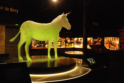 Pôle du Cheval et de l'Âne, La Celle-Condé - photo 8