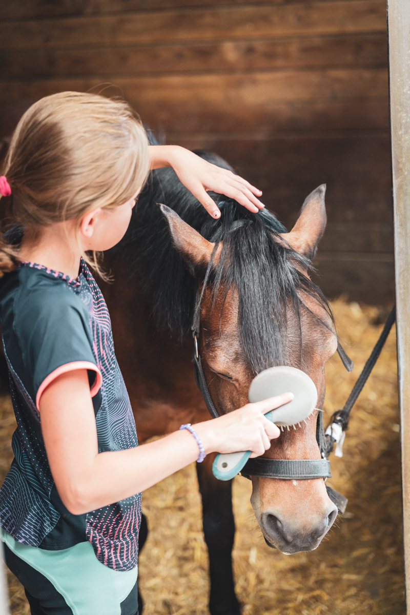 Poney Club des 5 Arpents — photo 3