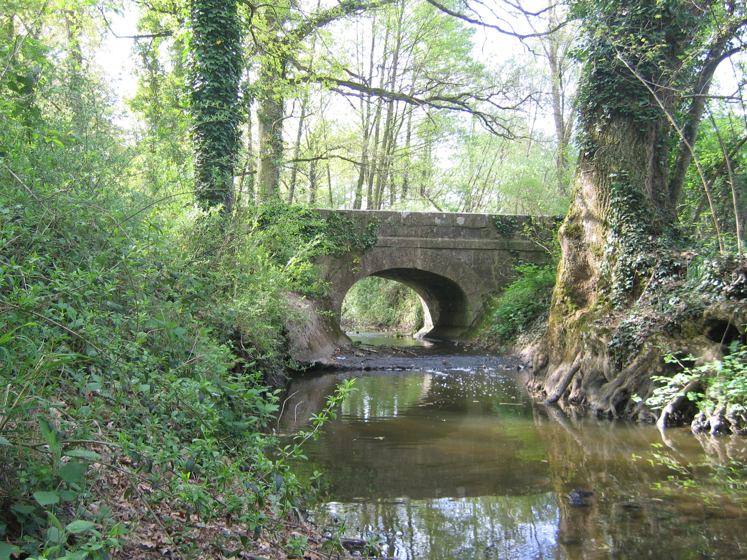 Le circuit de Cléry à la Butte des Élus, Cléry-Saint-André - photo 2