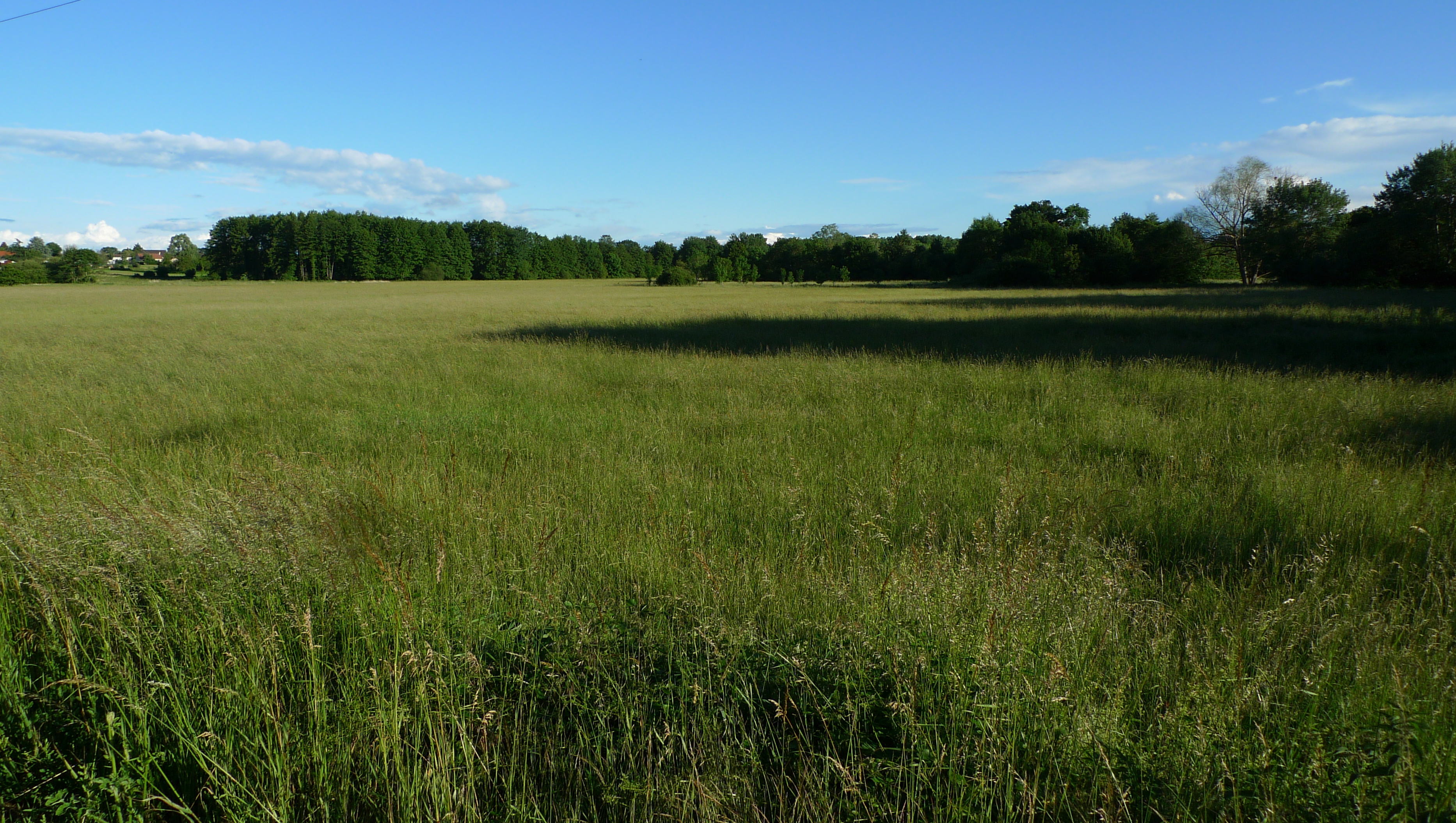Un théatre de verdure, Velles - photo 2