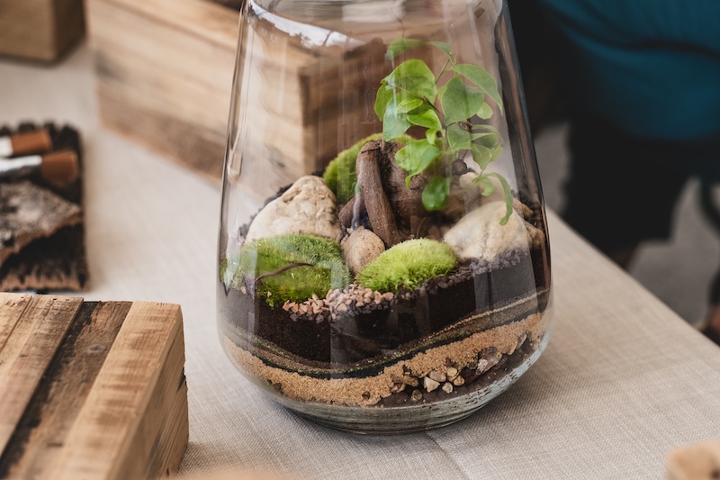 Atelier Terrarium