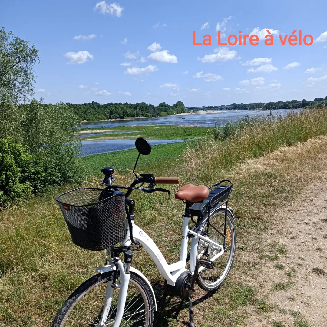 Gîte "Roses de Loire", Bréhémont - photo 4