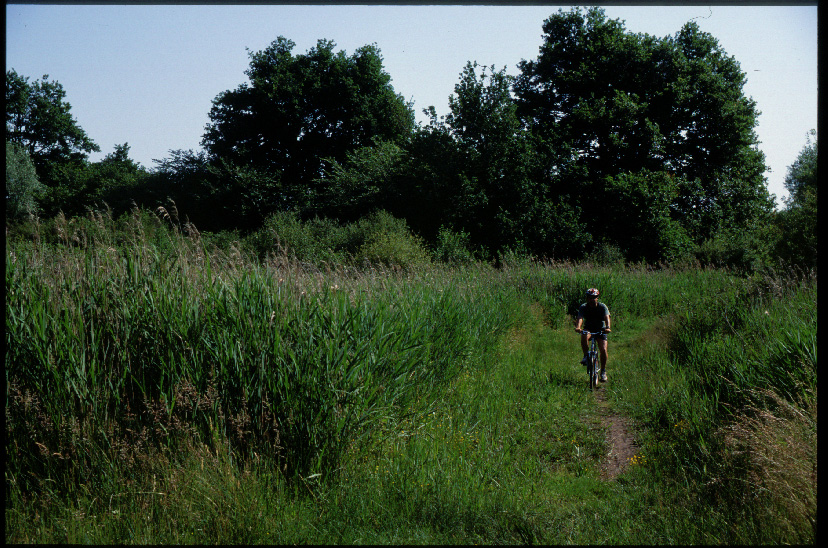 Circuit VTT - Du bois de la Fat à la forêt de Berger, Saint-Michel-en-Brenne - photo 2